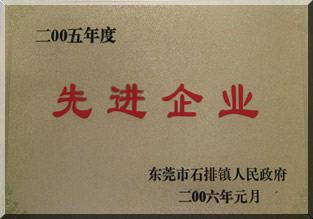 2006年先进企业